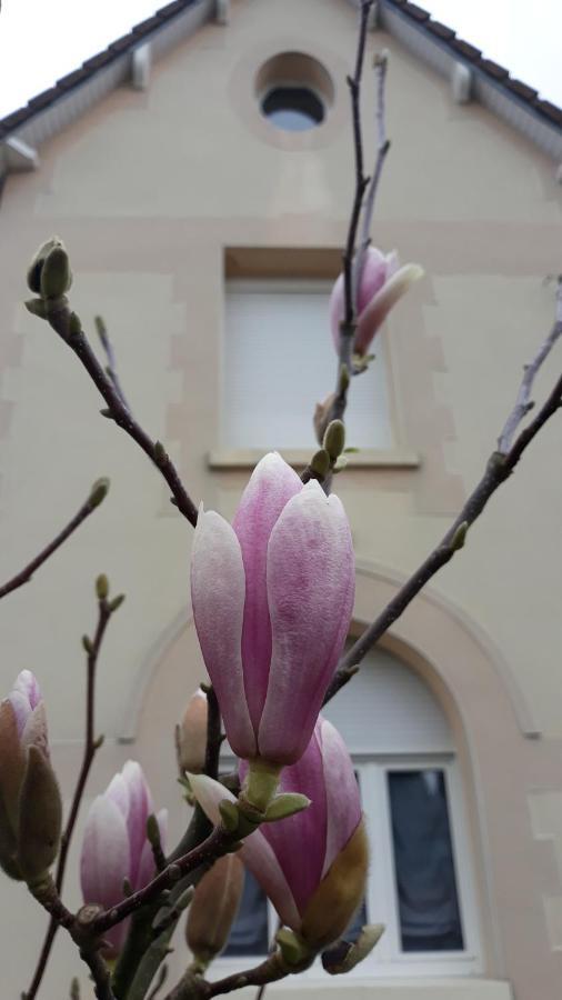 Le Gite Du Magnolia Willerval Bagian luar foto